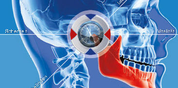 Digitale Bissnahme Digitale Bissnahme